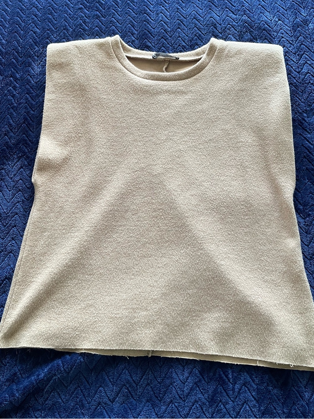 Zara Sleeveless Crewneck Tank Top - Tan